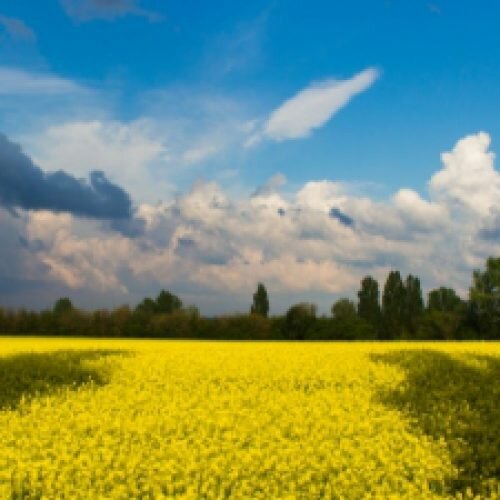 Украинский кризис: факты и возможности